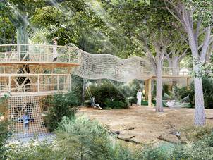 Outdoor play structures at Masaar, an Arada development, designed to encourage active play in a natural setting.